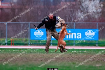 M_IMG_4904.jpg