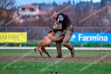 M_IMG_4949.jpg