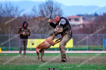 M_IMG_4960.jpg