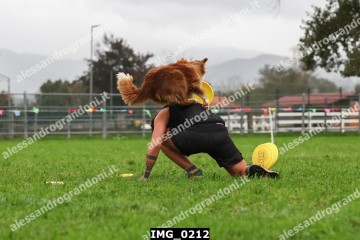 IMG_0212.jpg