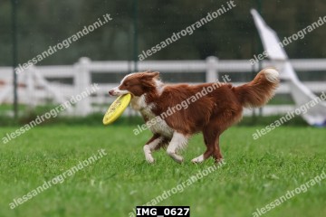 IMG_0627.jpg