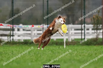 IMG_0700.jpg