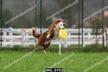 IMG_0702.jpg