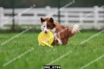 IMG_0799.jpg