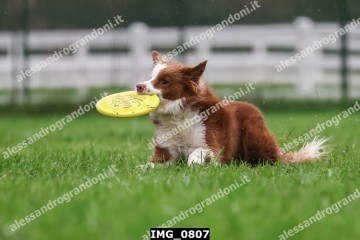 IMG_0807.jpg