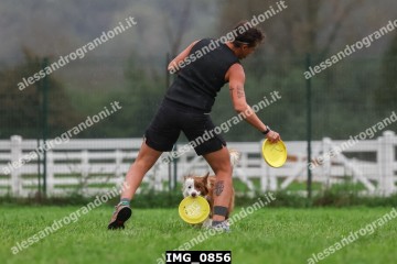 IMG_0856.jpg