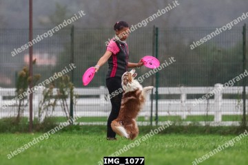 IMG_1077.jpg