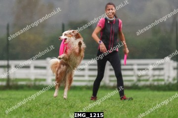 IMG_1215.jpg