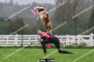 IMG_1288.jpg