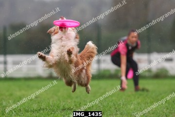 IMG_1435.jpg