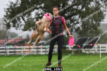 IMG_1551.jpg