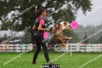 IMG_1577.jpg