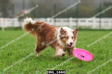 IMG_1660.jpg