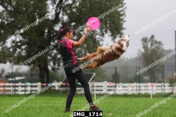 IMG_1714.jpg