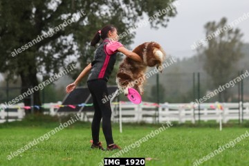 IMG_1920.jpg