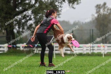 IMG_1925.jpg