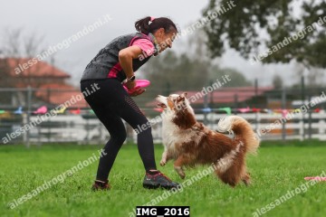 IMG_2016.jpg