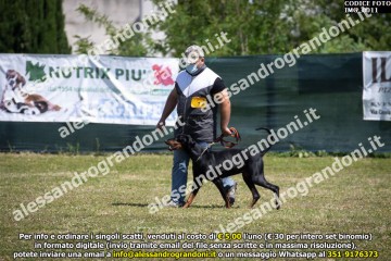 IMG_0011.jpg