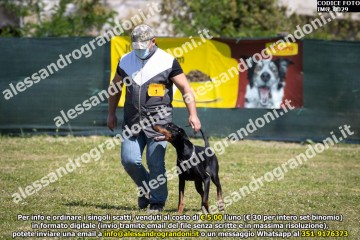 IMG_0029.jpg