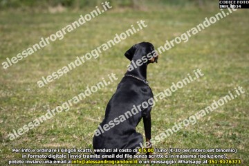 IMG_0034.jpg