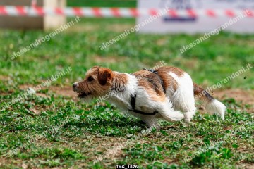 IMG_1876.jpg