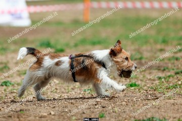 IMG_1891.jpg