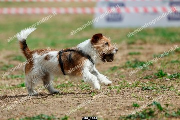 IMG_1894.jpg