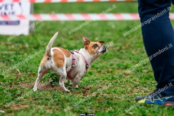 IMG_1905.jpg