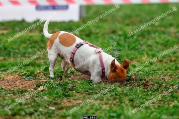 IMG_1911.jpg