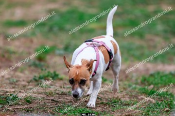 IMG_1938.jpg