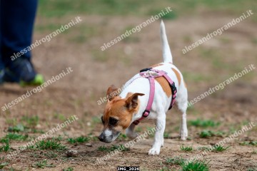 IMG_2026.jpg