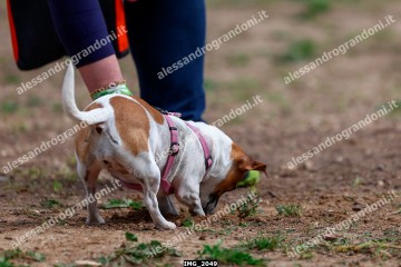 IMG_2049.jpg