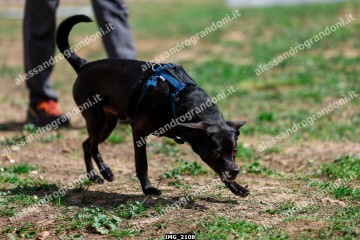 IMG_2108.jpg
