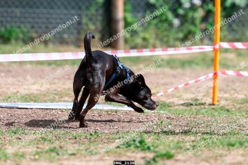 IMG_2139.jpg