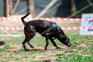 IMG_2157.jpg