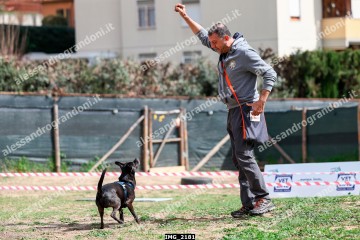 IMG_2181.jpg