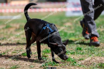 IMG_2185.jpg