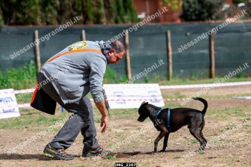 IMG_2207.jpg
