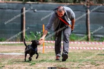 IMG_2244.jpg