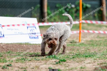 IMG_2288.jpg