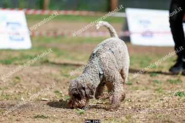IMG_2303.jpg