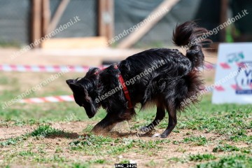 IMG_2425.jpg