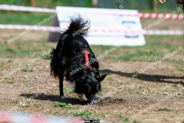 IMG_2455.jpg
