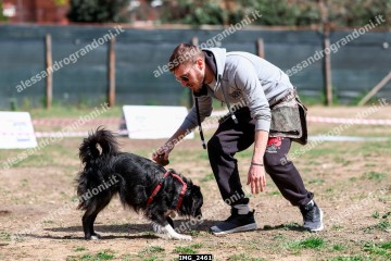 IMG_2461.jpg