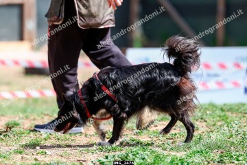 IMG_2476.jpg