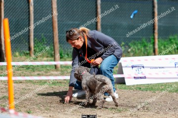 IMG_2572.jpg