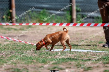 IMG_2618.jpg