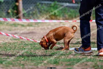 IMG_2624.jpg