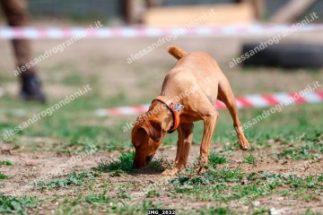 IMG_2632.jpg