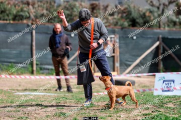IMG_2641.jpg